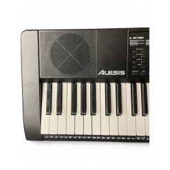 Used Alesis melody 61 Portable Keyboard