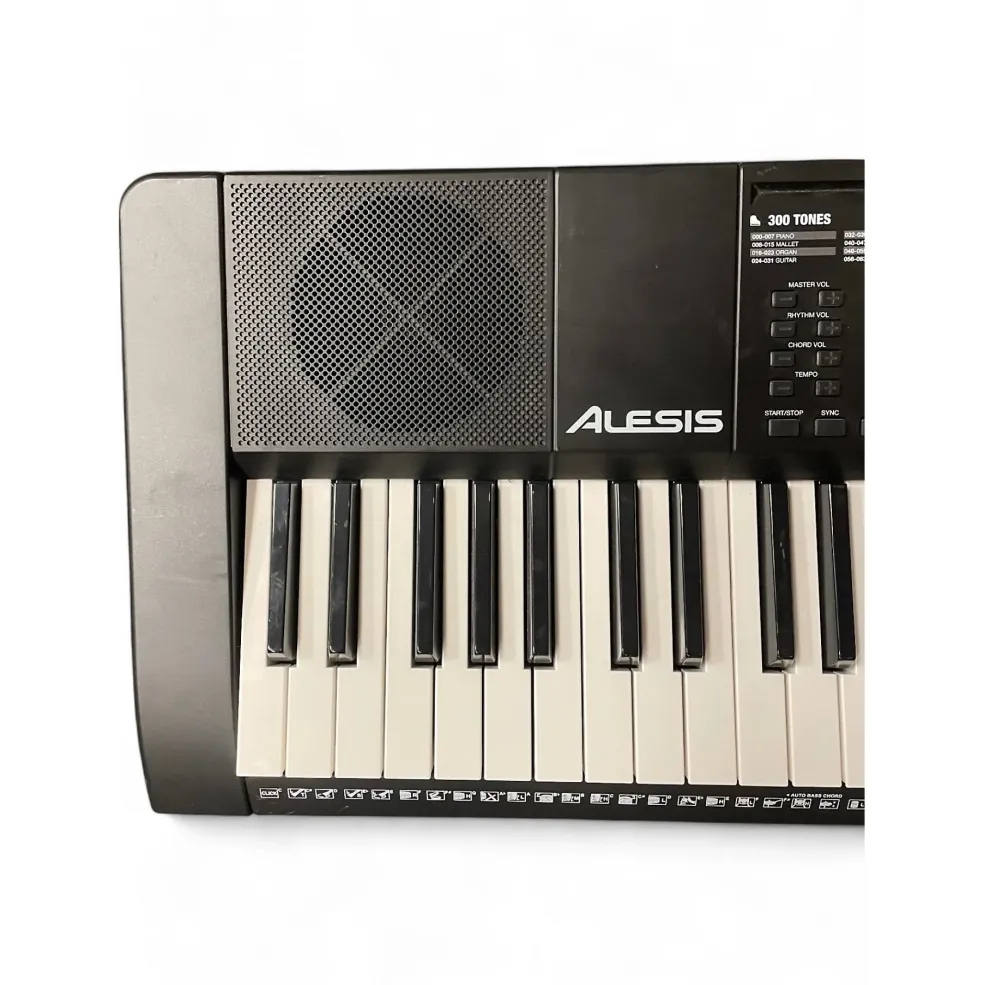 Used Alesis melody 61 Portable Keyboard