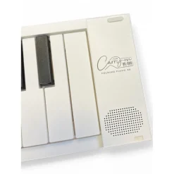 Used Carry-On Folding piano 88 Portable Keyboard
