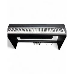 Used Casio PRIVIA DX S5000 Digital Piano