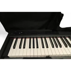 Used KORG D1 Digital Piano