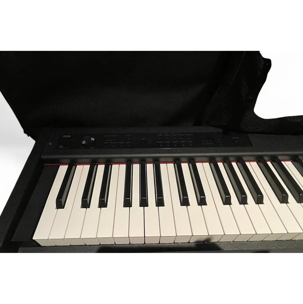 Used KORG D1 Digital Piano