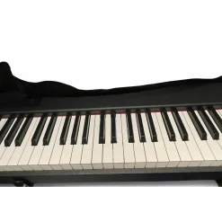 Used KORG D1 Digital Piano