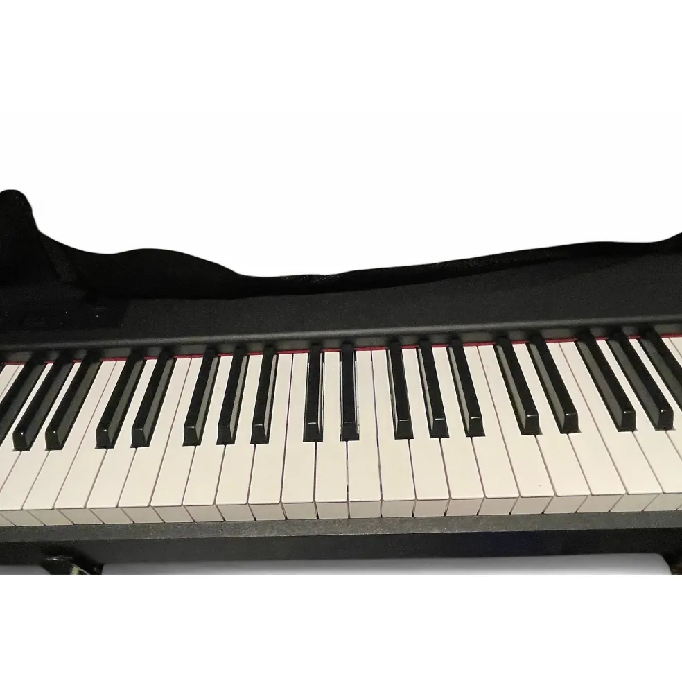 Used KORG D1 Digital Piano