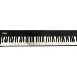 Used Technics SX-P30 Stage Piano