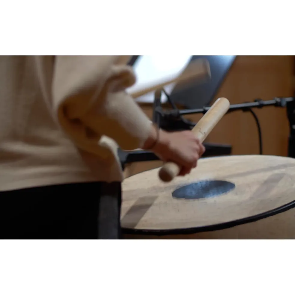 Vienna Symphonic Library BBO: Eridanus - Percussion Riffs (Download)
