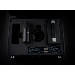 Warm Audio Recording Bundle With WA12-MKII Mic Pre, WA-8000 Condenser Microphone and Premier XLR 15' Mic Cable