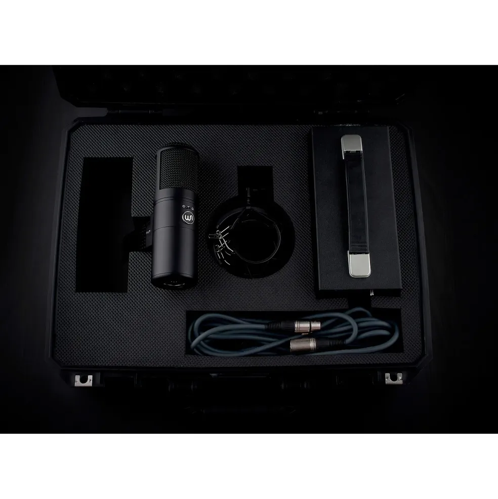 Warm Audio Recording Bundle With WA12-MKII Mic Pre, WA-8000 Condenser Microphone and Premier XLR 15' Mic Cable