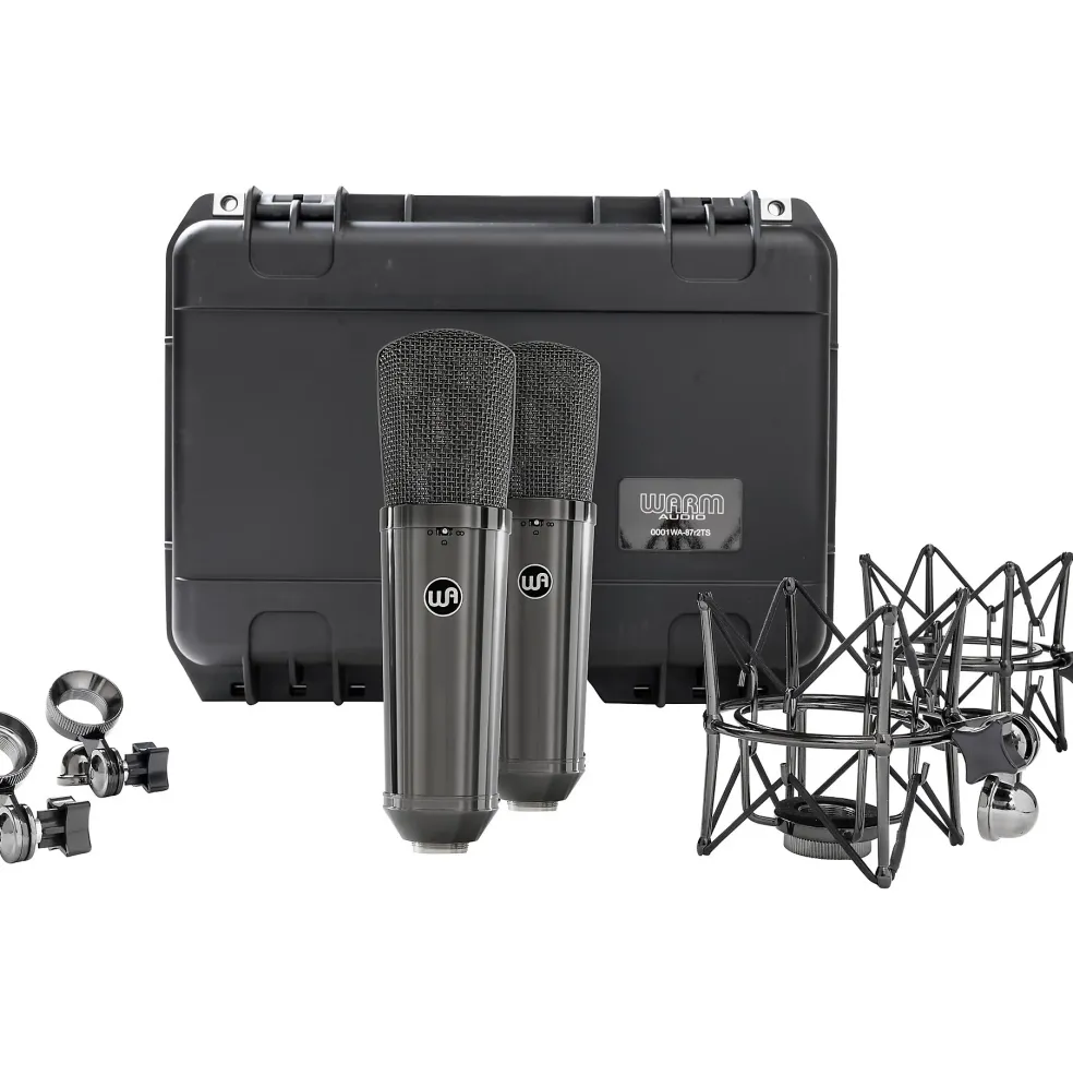 Warm Audio WA-87 R2 TS Large-Diaphragm Condenser Microphone Pair