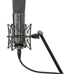 Warm Audio WA-87 R2 TS Large-Diaphragm Condenser Microphone Pair