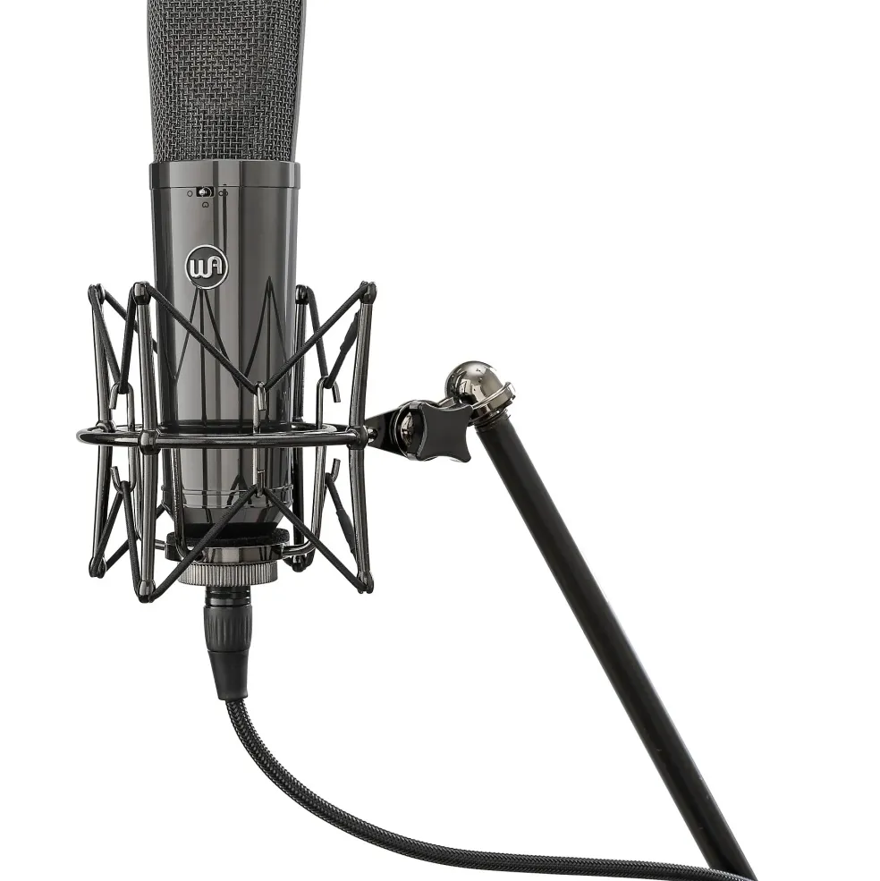 Warm Audio WA-87 R2 TS Large-Diaphragm Condenser Microphone Pair