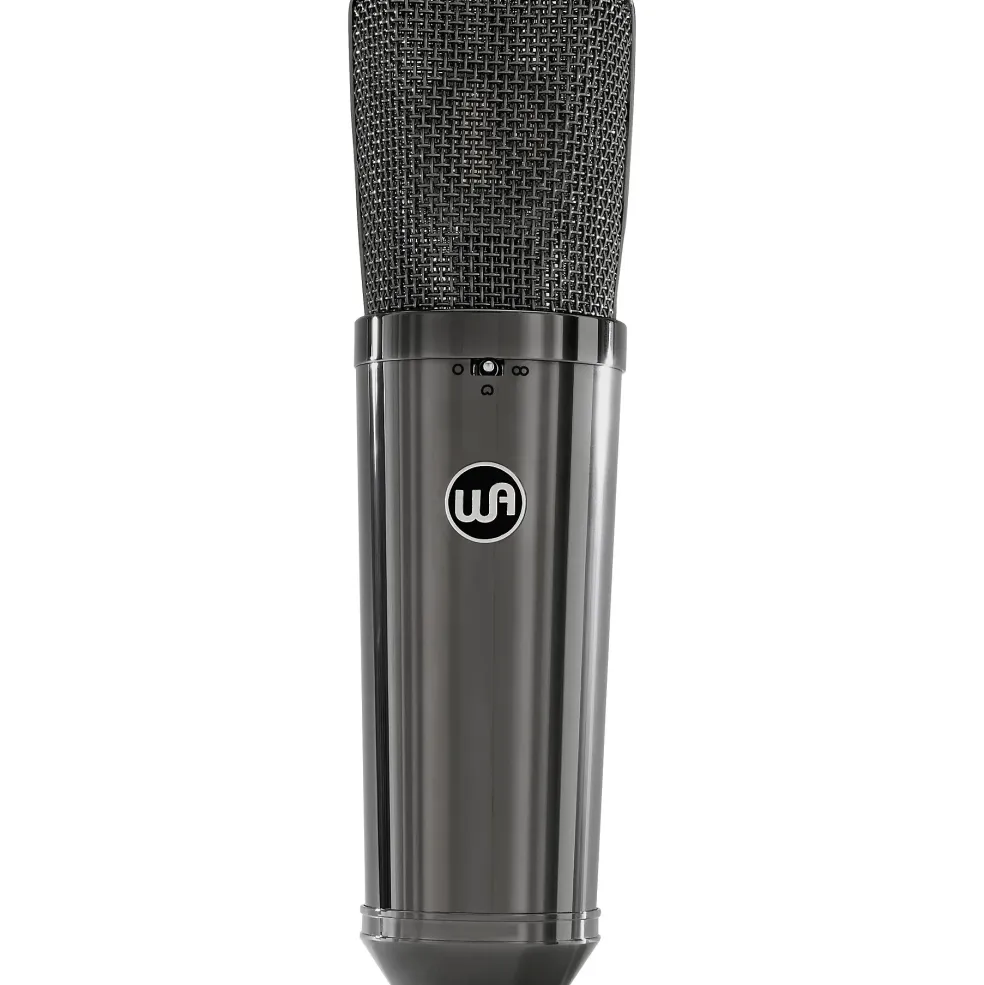 Warm Audio WA-87 R2 TS Large-Diaphragm Condenser Microphone Pair