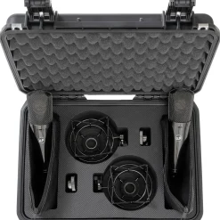Warm Audio WA-87 R2 TS Large-Diaphragm Condenser Microphone Pair